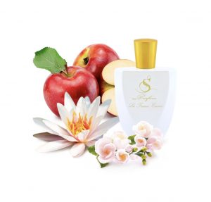 B20 по мотивам Victoria`s Secret Bombshells in Bloom