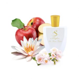 B20 по мотивам Victoria`s Secret Bombshells in Bloom