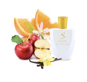 B13 по мотивам Hugo Boss Boss Orange