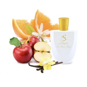B13 по мотивам Hugo Boss Boss Orange
