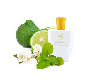 T12 по мотивам Tom Ford White Patchouli