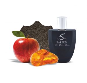 H8 по мотивам Hugo Boss Baldessarini Ambré