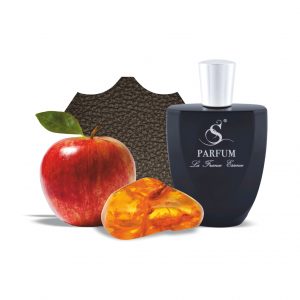 H8 по мотивам Hugo Boss Baldessarini Ambré