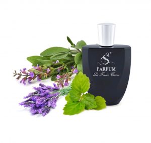 B18 по мотивам Bvlgari Aqva Pour Homme