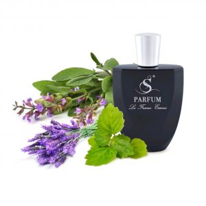 B18 по мотивам Bvlgari Aqva Pour Homme