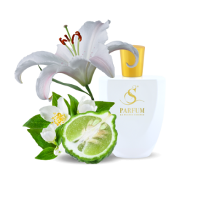 V7 по мотивам Versace Versense