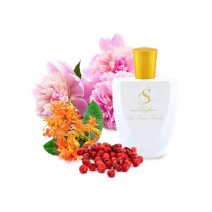 V15 по мотивам Victoria`s Secret Crush