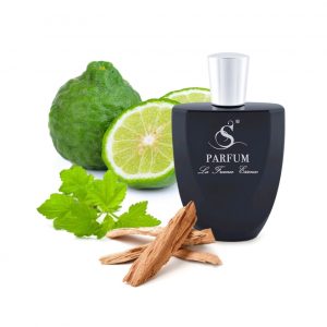 L1 по мотивам Lacoste Essential