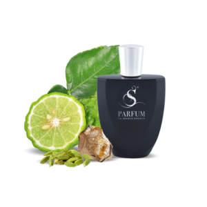 V2 по мотивам Versace Man Eau Fraiche