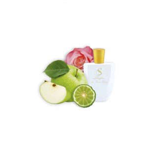 V18 по мотивам Victoria's Secret Rose Bergamot