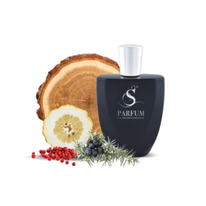 T20 по мотивам Hermes Terre D`Hermes Eau Givree