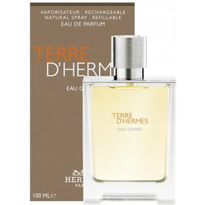 T20 по мотивам Hermes Terre D`Hermes Eau Givree — изображение 2