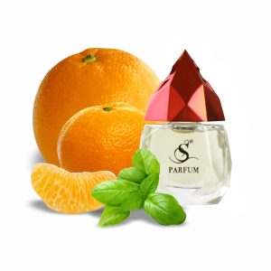 Автопарфюм "RAGGI DI FELICITA",G11
