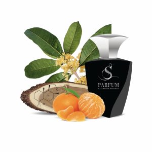 H6 по мотивам Hormone Paris Gaba